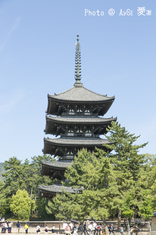 奈良　興福寺