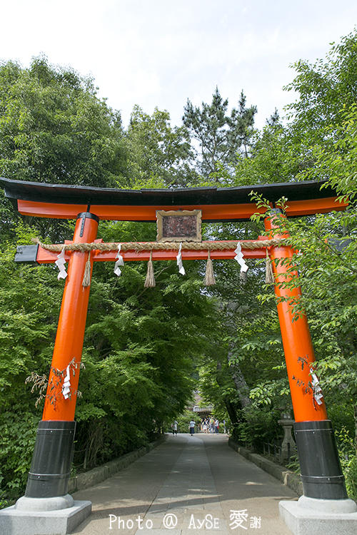 京都　宇治上神社　世界遺産