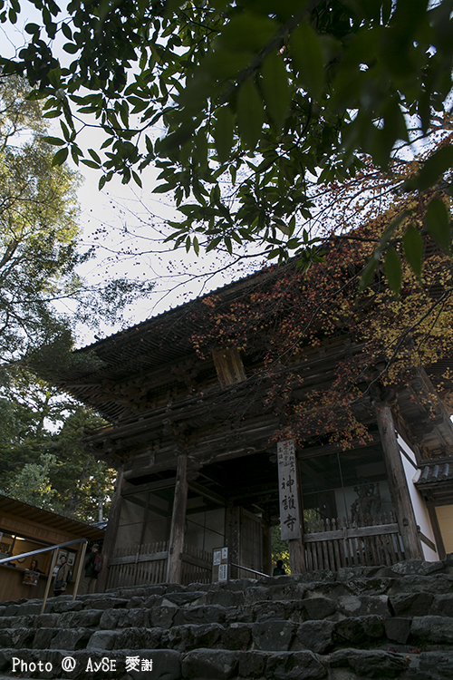 高雄山 神護寺