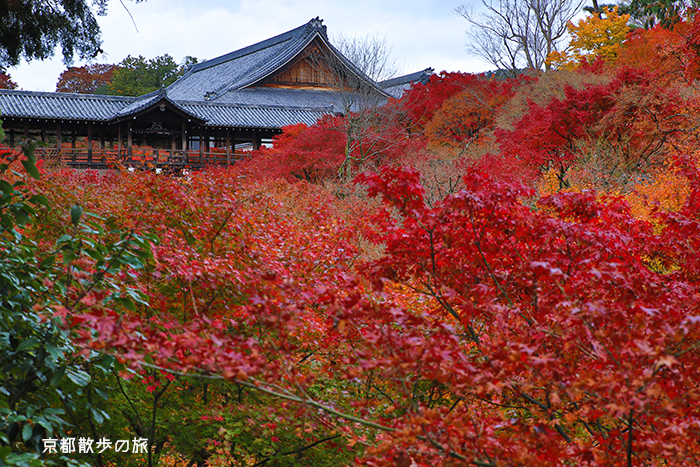 京都の紅葉 秋の風景 地球散歩の旅
